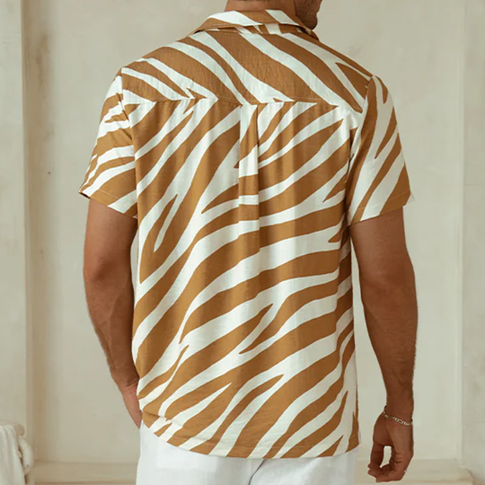 Men's Spring And Summer Fashion Casual Zebra Stripe Printed Silk Cotton Short Sleeve Shirt Elastic Waist Shorts Set DTT25070905