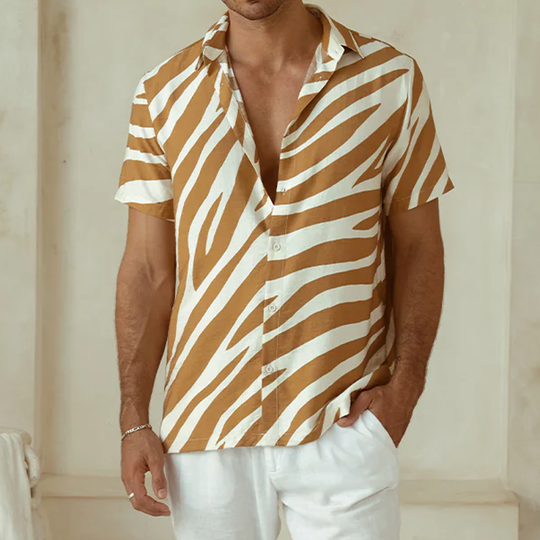 Men's Spring And Summer Fashion Casual Zebra Stripe Printed Silk Cotton Short Sleeve Shirt Elastic Waist Shorts Set DTT25070905