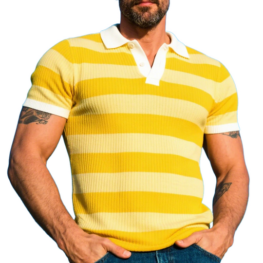 Men's Striped Knitted Short Sleeve POLO Shirt DTT25063013